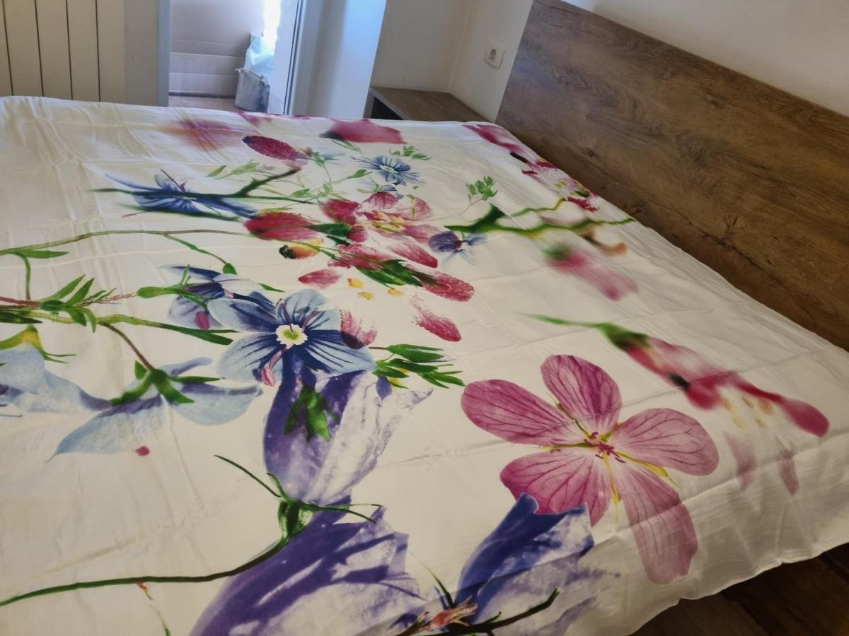 Appartement Caci à Črni Kal Extérieur photo