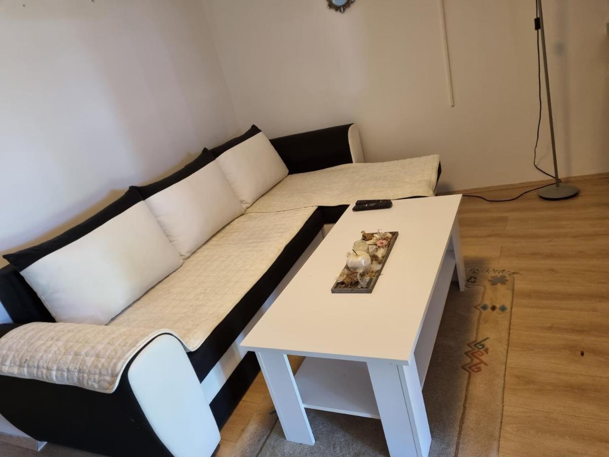 Appartement Caci à Črni Kal Extérieur photo